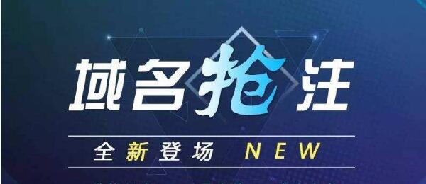 域名抢注 域名抢注