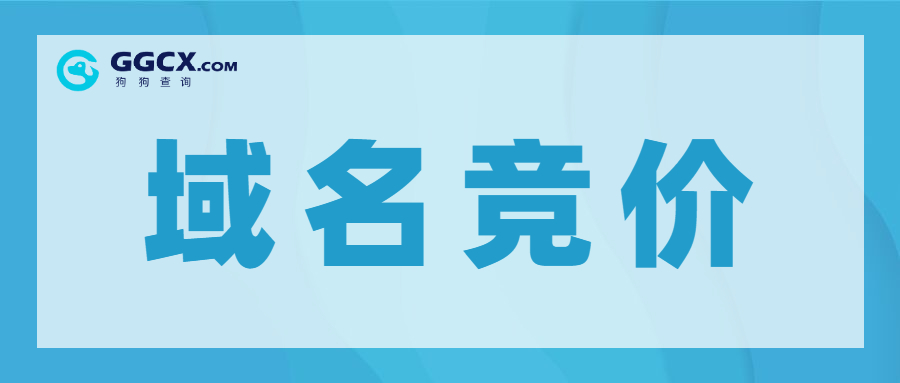 域名竞价，预释放域名，域名抢注.jpg