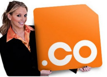 .co域名
