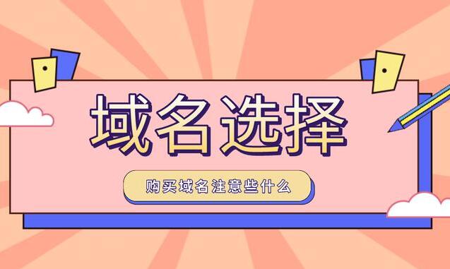 域名选择