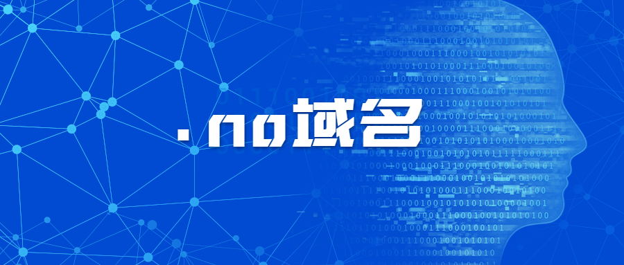 .no域名