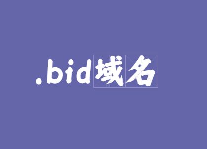 bid域名