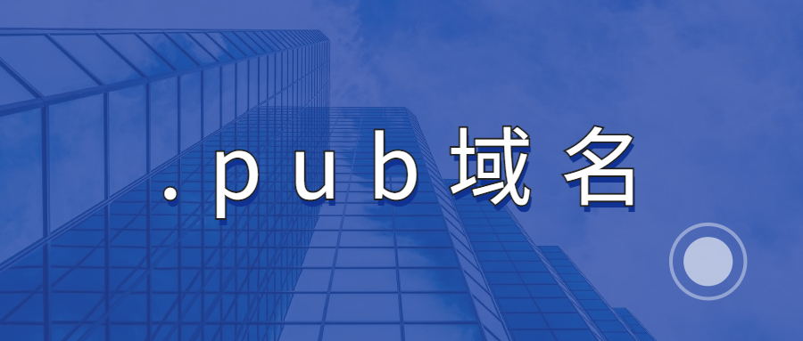 .pub域名注册
