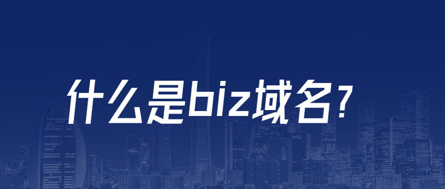 什么是biz域名