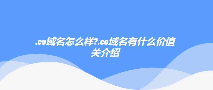 .co域名怎么样