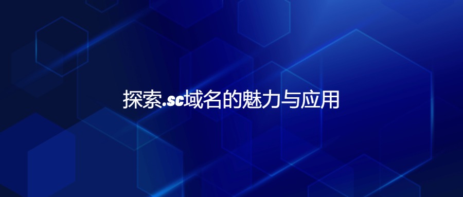 .sc域名