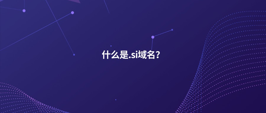 什么是.si域名? 什么是.si域名?