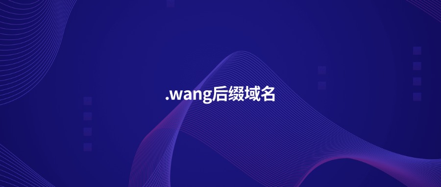 .wang后缀域名 .wang后缀域名