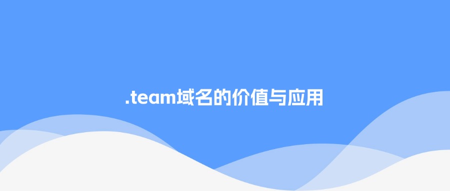 .team域名的价值和应用 .team域名的价值和应用