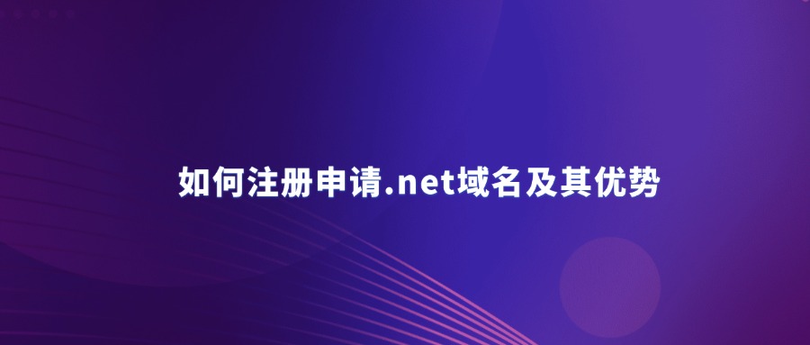 .net域名 .net域名