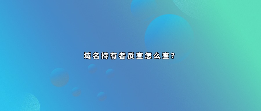 域名持有人反查