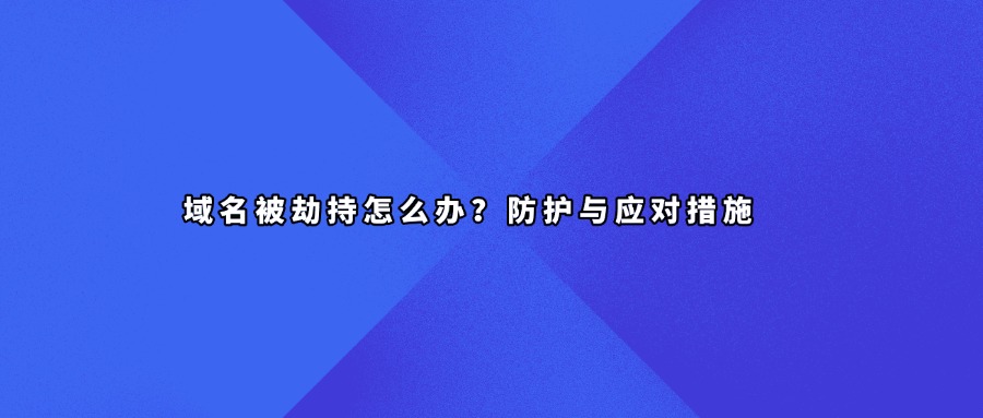 域名劫持查询