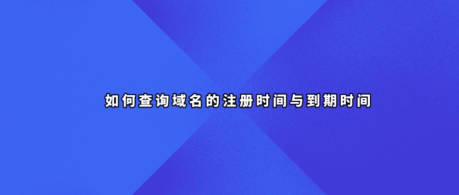 域名查询