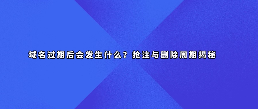 域名过期查询