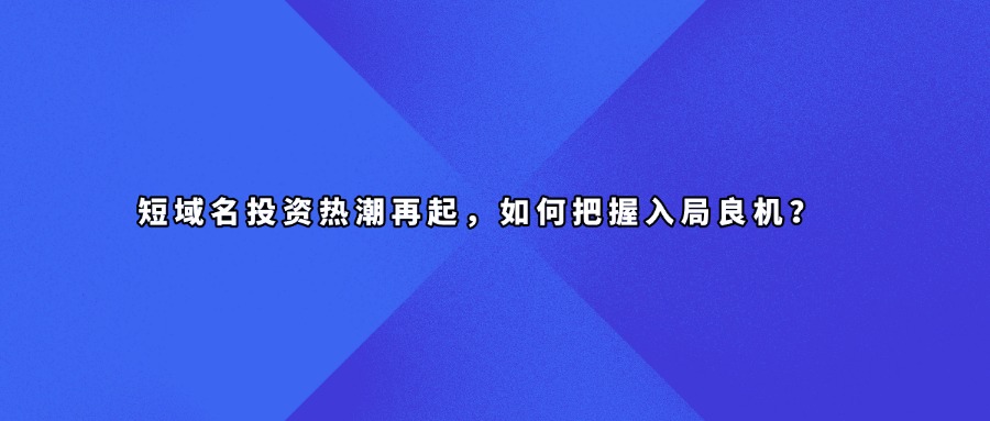 短域名投资