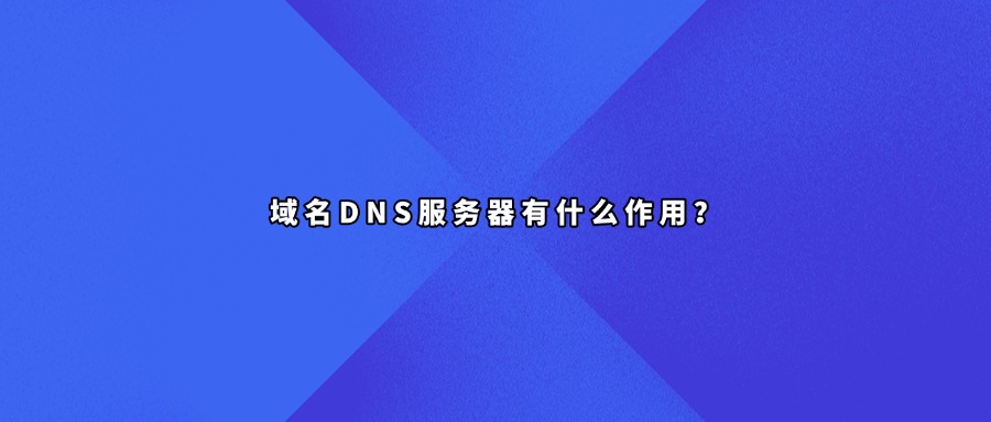 域名dns