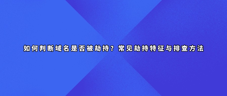 域名劫持查询