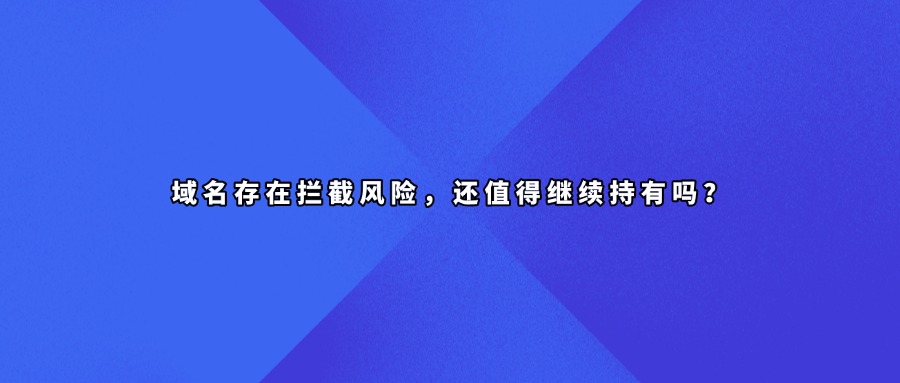 域名拦截查询
