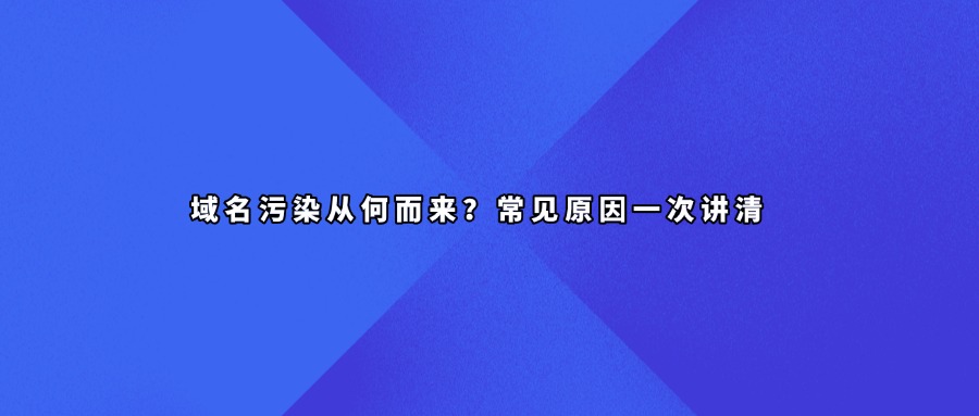 域名污染查询
