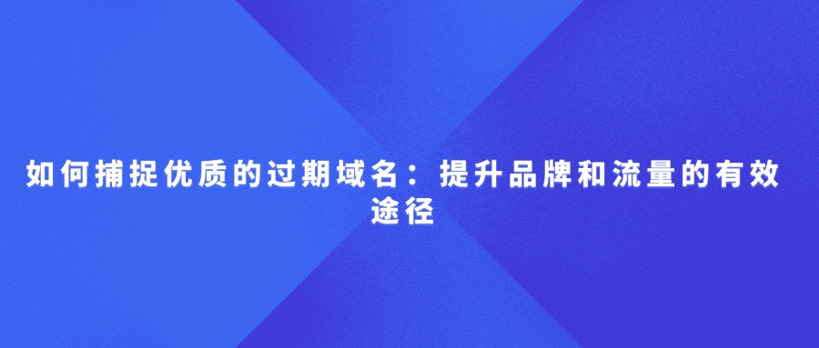 如何捕捉优质的过期域名:提升品牌和流量的有效途径